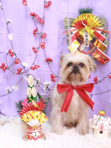 20230122ムーくん